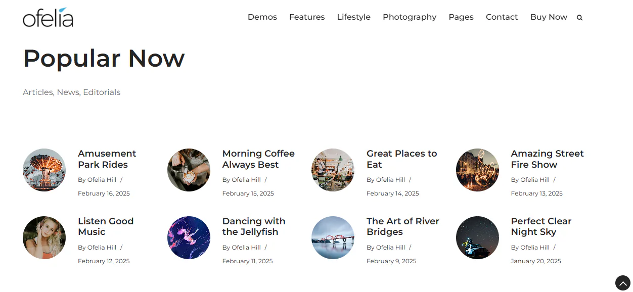 Travel Personal WordPress Blog Theme