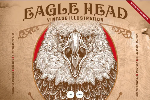 Eagle Head Illustration