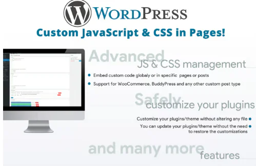 Custom JavaScript & CSS in Pages!